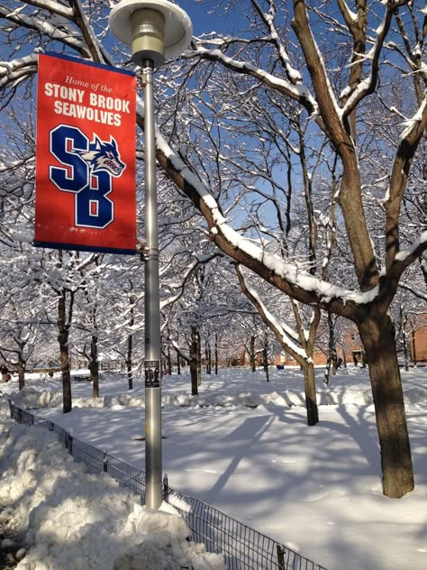 Stony Brook University SeaWolves - SBU Stony Brook University Aesthetic, Stonybrook University, Wallpaper Usa, Stony Brook University, Winter Things, Stony Brook, College List, Vision Board Photos, College Aesthetic