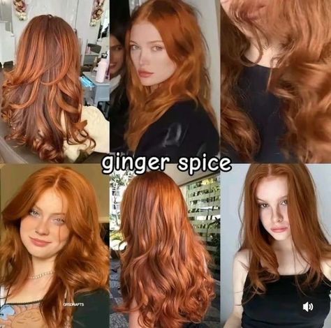 True Ginger Hair Color, Fire Ginger Hair, Ginger Hair Types, Ginger Hair Neutral Skin, Ginger Hair No Bleach, Hair Dye Ideas For Gingers, Ginger Hair Inspo Color, Carrot Ginger Hair, Types Of Ginger Hair