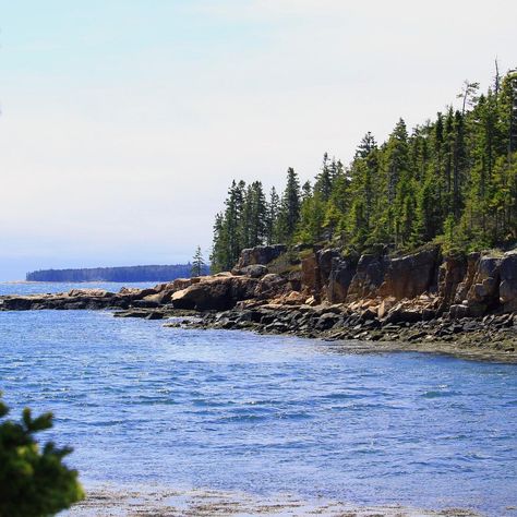 Ship Harbor Nature Trail - All You Need to Know BEFORE You Go (2024) Southwest Harbor Maine, Cafe Ice Cream, Mount Desert Island, What To Do Today, To Do Today, Desert Island, Acadia National Park, Ice Cream Shop, Nature Trail