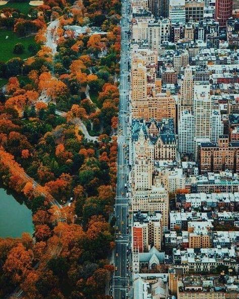 Where Central Park and the City meet 🍁🏠📸 @jaynaraasakkaMOD | @enric_torresFollow us on Facebook! [LINK IN BIO] City Vs Nature, Nature Vs City, City And Nature, City Nature, Nature City, Magic Places, Voyage New York, Photography People, Urban Development