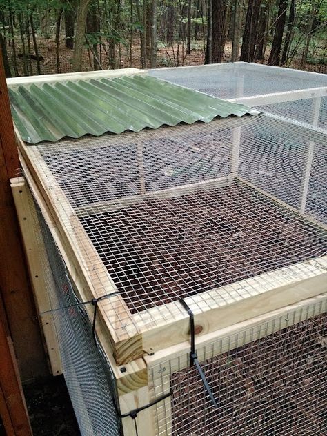 The Project Lady - DIY Easy & Inexpensive Chicken Run Frugal Chicken Coop, Adding A Run To A Chicken Coop, Chicken Run Ideas Diy Cheap, How To Make A Chicken Run, Chicken Coop Garden Ideas, Chicken Yard Ideas Easy Diy, Chicken Shelter From Rain, Chicken Coop Diy Ideas, How To Build A Chicken Run