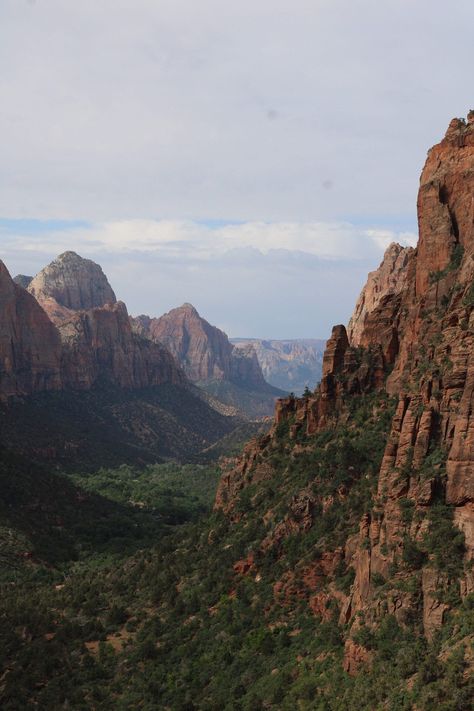 Zion National Park Photography Print Zion National Park Fall, Zion National Park Photography, Freetime Activities, National Park Photography, Mount Zion, Photography Poster, Park Photography, Pretty Landscapes, Zion National Park