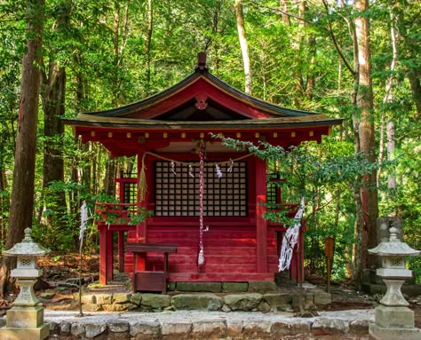 Traditional Japanese Shrine, Japan Shrine, Japanese Shrines, Kumano Kodo, Tokyo Streets, Japanese Forest, Japanese Shrine, Shinto Shrine, Japanese Temple