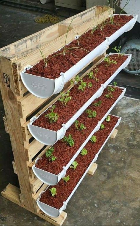 Outdoor Trellis Ideas, Bean Trellis, Plantarea Legumelor, Diy Garden Decor Projects, Vertical Vegetable Gardens, Diy Garden Trellis, Trellis Ideas, Outdoor Trellis, Vegetable Garden Diy