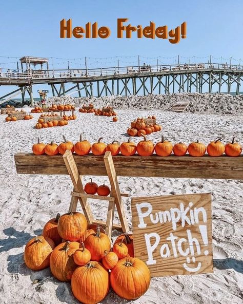 Halloween On The Beach, Florida Fall Aesthetic, Autumn Beach Aesthetic, Coastal Fall Aesthetic, Fall Beach Aesthetic, Beach Pumpkins, Fall At The Beach, Desktop Collage, Coastal Autumn