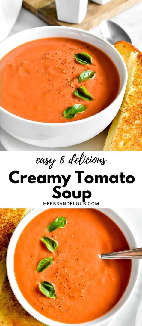 This easy to make homemade Creamy Tomato Soup is made from scratch using fresh tomatoes! It is full of fresh flavours and so much better than anything you can get out of a can! Tomato Soup Homemade From Scratch, Tomatoes Soup Homemade, Soup From Scratch Recipes, Easy Homemade Tomato Soup With Fresh Tomatoes, Easy Tomato Soup With Fresh Tomatoes, How To Make Homemade Tomato Soup, Tomato Soup Using Fresh Tomatoes, Homemade Creamy Tomato Soup, Freezer Tomato Soup From Fresh Tomatoes