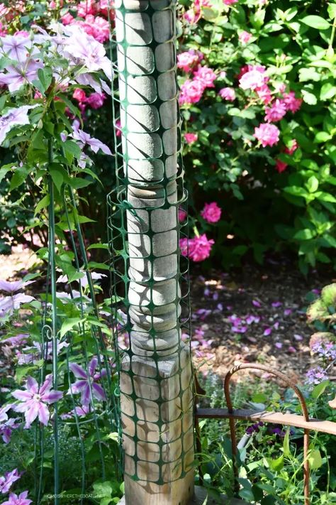 Over Achiever, Net Flowers, Clematis Trellis, Metal Garden Fencing, Sweet Autumn Clematis, Trellis Netting, Shed With Porch, Mesh Fence, Autumn Clematis