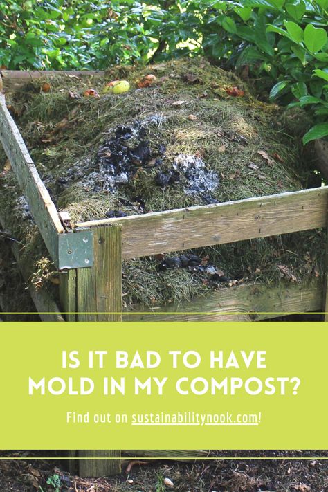 Leaf Mold Compost, Mold Allergy, Compost Heap, Composting 101, Worm Bin, Worm Composting, Types Of Mold, Baby Pool, Garden Help