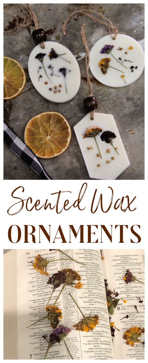 Scented Botanical Wax Ornaments – The CentsAble Shoppin Diy Scented Ornaments, Herbal Christmas Ornaments, Smell Good Christmas Ornaments, Herb Christmas Ornaments, Scented Christmas Ornaments Diy, Wax Ornaments Diy Christmas, Scented Ornaments Diy, Homemade Nature Ornaments, Diy Nature Ornaments