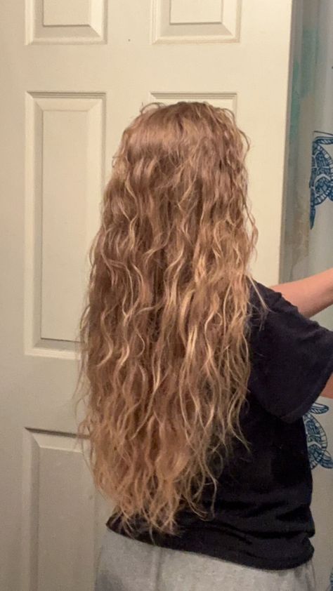 Dark Blonde Wavy Hair Natural, Long Blonde Wavy Hair Natural, Wavy Blonde Hair Naturally, Dirty Blonde Wavy Hair, Dark Blonde Wavy Hair, Wavy Curly Hair Routine, Dirty Blonde Curly Hair, Hair Inspo Wavy, Blonde Curly Hair Natural