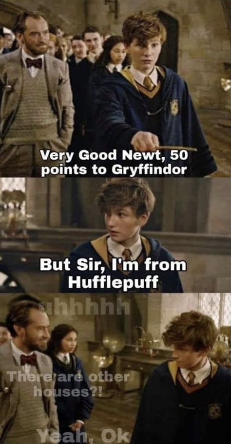 Harry Potter And The Philosophers Stone, Hermione Harry And Ron, Philosopher Stone, Harry And Ron, Harry Potter Quotes Funny, Citate Harry Potter, Stile Harry Potter, Harry Potter Parody, Glume Harry Potter