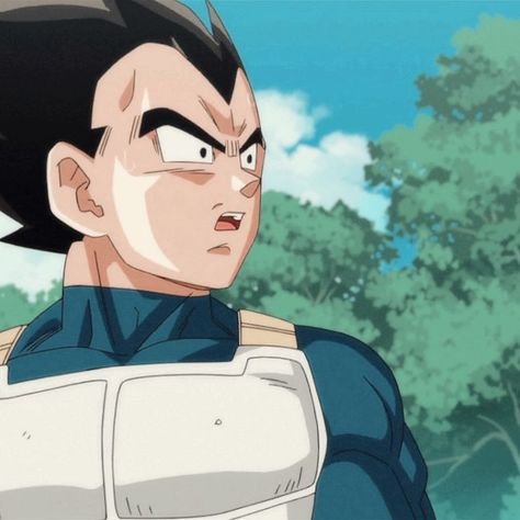 Vegeta And Bulma, Cute Images For Wallpaper, People Icon, Dragon Ball Image, Anime Dragon Ball Goku, Cute Couple Cartoon, Dragon Ball Goku, Couple Cartoon, Matching Profile Pictures