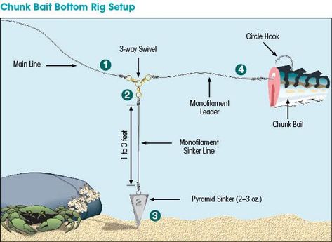 Saltwater Rigging Basics - New Hampshire Saltwater Fishing Surf Fishing Tips, Surf Fishing Rigs, Pesca In Mare, Bottom Fishing, Salt Water Fishing, Bass Fishing Tips, Surf Fishing, Fishing Rigs, Fishing Techniques