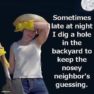 Sometimes late at night I dig a hole in the backyard to keep the nosey neighbor's guessing. Nosey Neighbors, Garden Quotes, Funny Captions, Glass Garden, E Card, Quotes Funny, Bones Funny, Make Me Smile, I Laughed