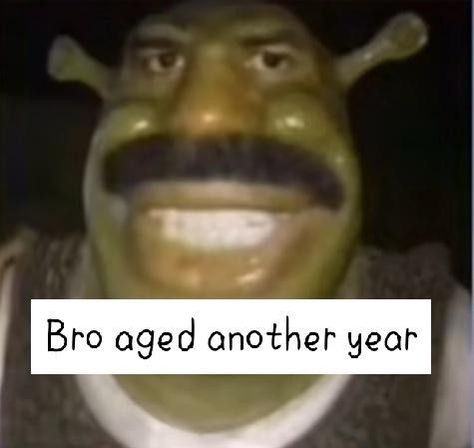 Birthday Mood Meme, Birthday Wishes Memes Funny, Birthday Cursed Image, Go Shawty Its Your Birthday Meme, Goofy Birthday Wishes, Happy Birthday Reaction Pic Funny, Happy Birthday Funny Pictures, Shrek Happy Birthday Meme, Weird Happy Birthday Pictures