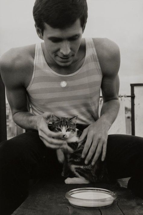 Anthony Perkins Tab Hunter, Norman Bates Aesthetic, Antony Perkins, Tony Perkins, Byronic Hero, Celebrities With Cats, Tab Hunter, Norman Bates, Anthony Perkins