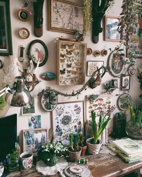 Hobby Display Ideas, Goblincore Apartment Decor, Retro Boho Cottagecore, Goblincore House Decor, Apothecary Decor Bedroom, Witchy Apartment Ideas, Goblincore Wall Decor, Witchy Craft Room, Witch Aesthetic Living Room