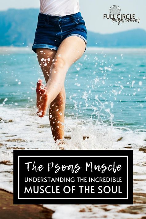 Psoas Muscle Of The Soul, Psoas Muscle Pain, Somatic Exercise, Thoracic Vertebrae, Yoga Anatomy, Psoas Muscle, Body Therapy, Emotional Body, You're Not Alone