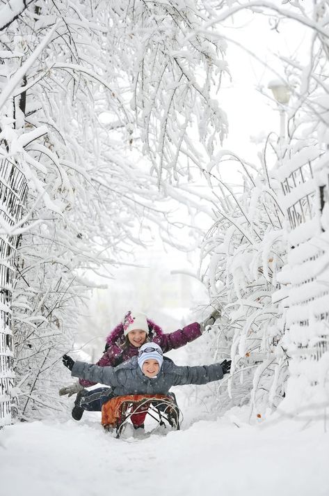 Snow Family Pictures, Winter Family Photography, Winter Family Pictures, Vision Board Diy, Snow Photoshoot, Winter Family Photos, Winter Portraits, Family Christmas Pictures, Snow Pictures