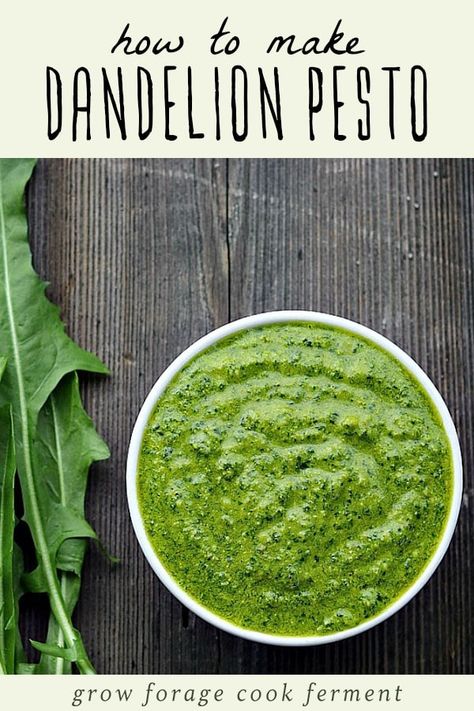 Spring is the perfect time to go foraging for dandelion greens, and this pesto is a delicious traditional way to use those dandelion greens! It's packed with healthy gut healing and anti-inflammatory ingredients, easy to make, and so delicious. Give this dandelion pesto recipe a try with your foraged dandelion greens! #forage #dandelion Dandelion Pesto Recipe, Dandelion Greens Recipes, Dandelion Greens, Wild Food Foraging, Foraging Recipes, Green Pesto, Edible Wild Plants, Foraged Food, Dandelion Recipes