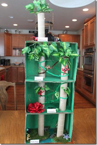 Cool Brazilian Rainforest diorama idea that will allow you to show the different levels from floor to canopy.... Rain Forest Diorama, Rainforest Layers, Rainforest Crafts, Rainforest Project, Rainforest Activities, Rainforest Theme, Rain Forest, Amazon Rainforest, Homeschool Science