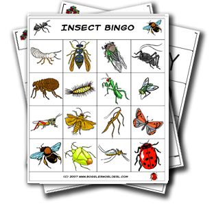 Bug Bingo Free Printable, Insect Bingo Free Printable, Preschool Experiences, Sequencing Activities Preschool, Insect Games, Preschool Insects, Preschool Pattern Activities, Insect Study, Bug Games