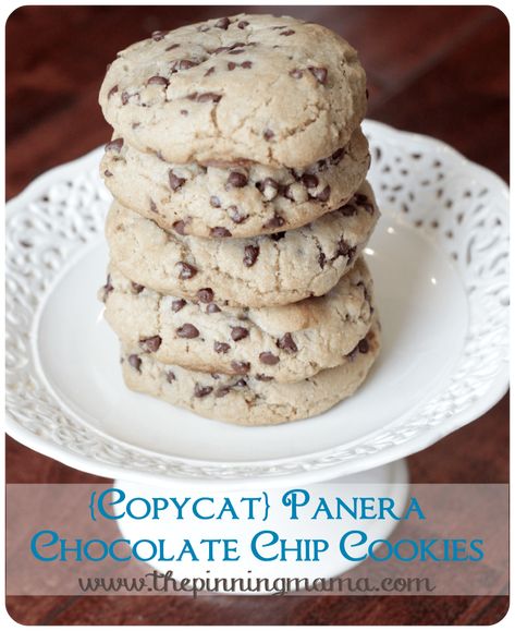 Panera Chocolate Chip Cookie Recipe, Copycat Panera Bread, Panera Recipes, Panera Copycat, Peanut Butter Oatmeal Chocolate Chip, Peanut Butter Oatmeal Chocolate Chip Cookies, Chewy Chocolate Chip Cookies Recipe, Copycat Panera, Cookie Recipes Oatmeal Raisin