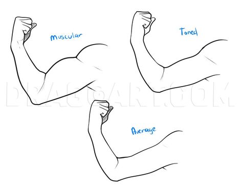 How To Draw Muscles On Women, Abs Step By Step Drawing, Muscle Base Drawing, Muscle Study Reference, Multiple Arms Pose Reference, How To Draw Muscles Arms, Muscles Drawing Tutorial, How To Draw Biceps, How To Draw Leg Muscles