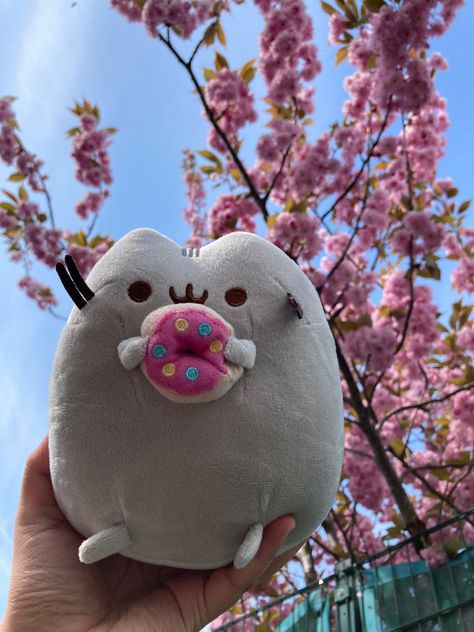 Pusheen Aesthetic, Coquette Pics, Pusheen Plush, Aesthetic Core, Stuff Animals, Cute Squishies, Pusheen Cat, Silly Images, Cat Aesthetic