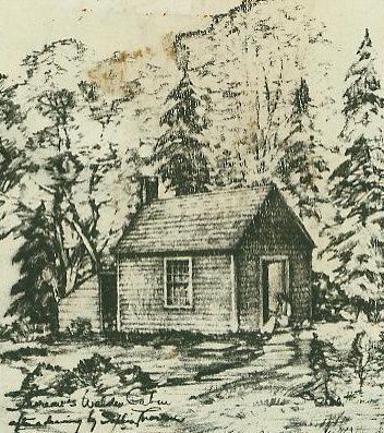 walden pond sophias-house-drawing2 Cabin Tattoo, Walden Pond, Small Cabins, Chinese Art Painting, Cabin Art, Design Building, Vintage Cabin, Park Trails, Henry David Thoreau