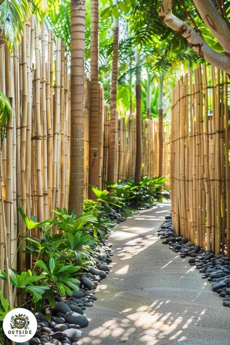 Bamboo Fences And Gates, Backyard Bamboo Privacy Fence, Bamboo Courtyard Garden, Natural Fence Ideas Backyards, Live Fence Ideas Yard Privacy, Fence Alternatives Privacy, Natural Privacy Fence Ideas, Natural Fence Ideas, Homestead Fence