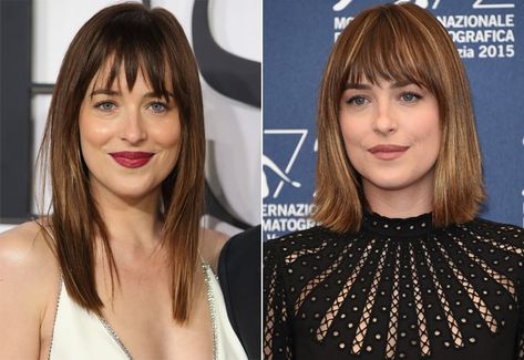 Dakota Johnson Dakota Johnson Short Hair, Dakota Johnson Bangs, Dakota Johnson Hair, Grey White Hair, Honey Brown Hair, Fancy Hairstyles, Haircuts For Long Hair, Haircuts For Fine Hair, Short Hair Styles Easy