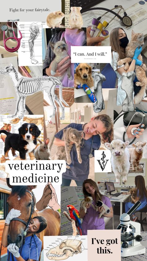 #veterinary #veterinarymedicine #dreamjob #savinganimals #vetmed #animals #wallpaper #myfirtshufffle Veterinarian Aesthetic Collage, Veterinary Vision Board, Small Animal Vet, Veterinary Nurse Aesthetic, Vet Scrubs Aesthetic, Vet Collage, Vet Tech Aesthetic Wallpaper, Veterinary Assistant Aesthetic, Vet Student Aesthetic Wallpaper