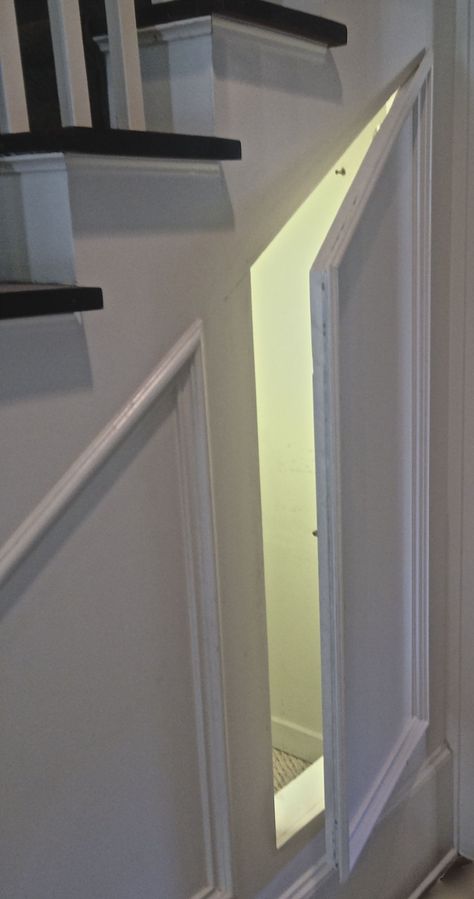 Door Under Stairs, Stairway Storage, Hidden Doors In Walls, Room Under Stairs, Closet Under Stairs, Hidden Room, Bookshelf Door, Pet Room, Secret Closet