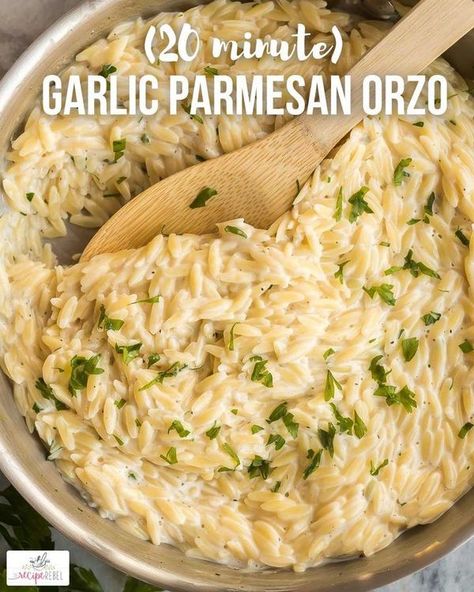 The First Year Parmesan Orzo Pasta, Garlic Parmesan Orzo, Orzo Pasta Recipe, Parmesan Orzo, Orzo Pasta, Creamy Garlic, Garlic Parmesan, Cream Sauce, Pasta Recipe