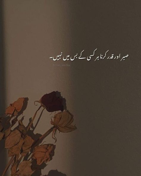 Best Urdu lines | Deep Urdu Thought Writes Dp, Mysterious Thoughts, Urdu Sayri, Dua Quotes, Urdu Aesthetic, Famous Poetry, 1 Line Quotes, One Liner Quotes, Poetry Photos