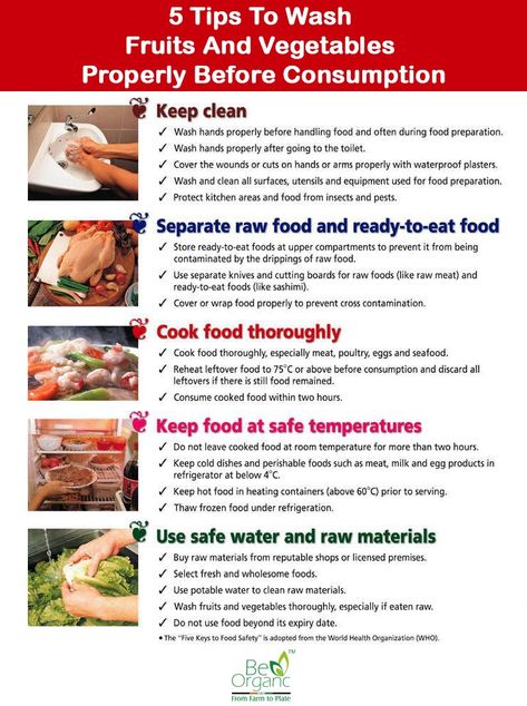 The five tips to wash food are- Keep Clean, cook foo thoroughly. use safe water, heat food at safe temperatures. Kitchen Safety Tips, Food Safety Posters, Food Safety And Sanitation, Food Safety Training, Culinary Lessons, Food Safety Tips, Food Hygiene, Hong Kong Food, Kitchen Safety