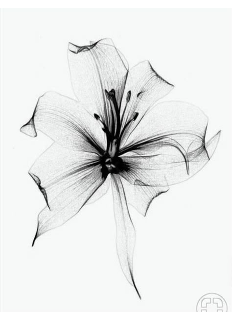 Tattoo Lily, Abstract Flower Tattoos, 27 Tattoo, Jack Tattoo, Diy Tattoo Permanent, Inspiration Tattoos, Mandala Tattoo Design, Diy Tattoo, Spine Tattoos