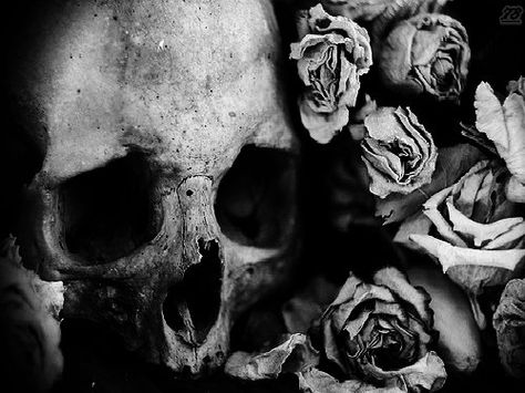 Character Aesthetics, Hades And Persephone, Flowers Aesthetic, Skulls And Roses, Witch Aesthetic, Six Feet Under, Camp Half Blood, Skull And Bones, Memento Mori