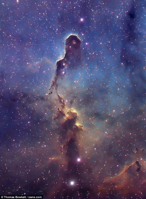 California Nebula, Praise To God, Elephant Trunk, Space Pictures, God The Father, To Infinity And Beyond, Astronomer, Gloucester, Arte Pop