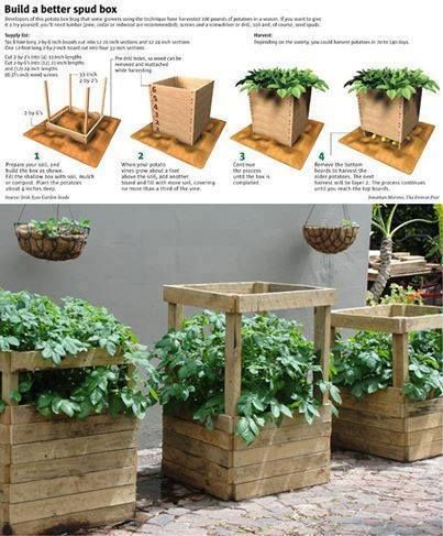 Most people love potatoes but it's definitely a crop that can take up lots of garden space. Luckily there's been a surge of creative container ideas for growing your potatoes vertically instead of in ground.   Making use of vertical space is perfect for potatoes because as the plants grow taller Potato Box, Grow Potatoes In Container, Potato Tower, Container Potatoes, نباتات منزلية, Building A Raised Garden, Plants Growing, Growing Potatoes, Garden Veggies