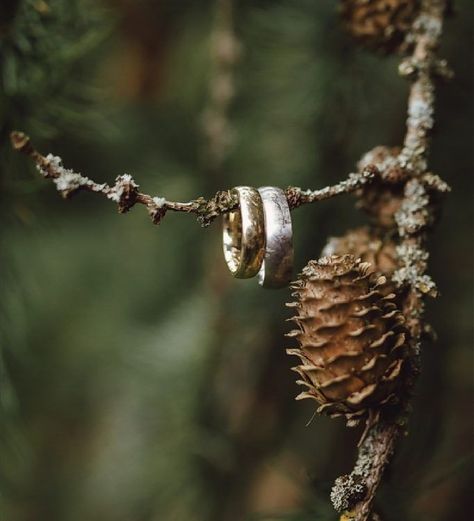 Forest Wedding Photography, Wedding Ring Shots, Forest Theme Wedding, Enchanted Forest Wedding, Wedding Rings Photos, Unique Wedding Photos, Irish Wedding, Foto Poses, Woodland Wedding