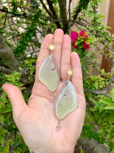 Real Luna Moth Wings + Rose Quartz Luna Moth Accessories, Luna Moth Clothes, Luna Moth Jewelry, Luna Moth Wings, Mixed Aesthetic, Moth Jewelry, Wire Wrapped Rose, Moth Earrings, Tech Wear