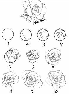 Hur Man Ritar Blommor, Tattoo Sunflower, Tattoo Mermaid, Rose Step By Step, Draw A Rose, Eine Rose, Istoria Artei, Couple Drawing, Flower Drawing Tutorials