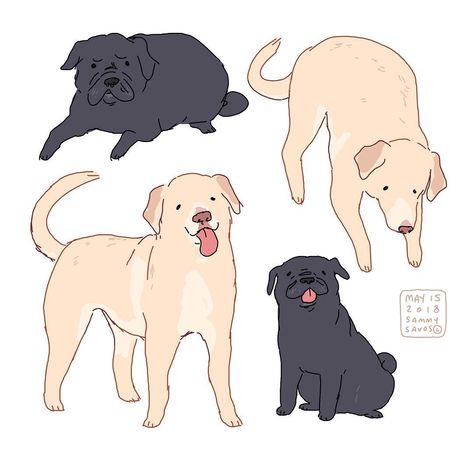 sammy savos on Instagram: “commission for tumblr user honorarypopsicle! #dog #dogs #art #puppy #puppies #whitelab #whitelabrador #lab #labrador #pug #pugs…” Hamotzi Dog, Lab Dog Drawing, Labrador Sketch, Labrador Doodle, Sammy Savos, Labrador Drawing, Labrador Illustration, Chibi Dog, Labrador Retriever Art