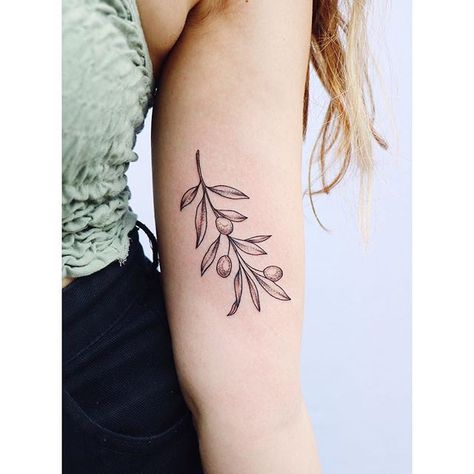 Olive Branch Tattoo Meaning, Olive Tree Tattoos, Olive Tattoo, Olive Branch Tattoo, Hope Tattoo, Cactus Tattoo, Branch Tattoo, Jesus Tattoo, Forearm Tattoo Women