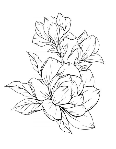 Download the Magnolia Flower Outline Magnolia LIne Art Line Drawing 3325125 royalty-free Vector from Vecteezy for your project and explore over a million other vectors, icons and clipart graphics! Peonies Flower Drawing, Large Flower Drawing, Line Art Tattoos Flower, Line Flowers Design, Flower Outline Art, Magnolia Tattoo Simple, Floral Outline Drawing, Flower Drawing Reference, Magnolia Vector