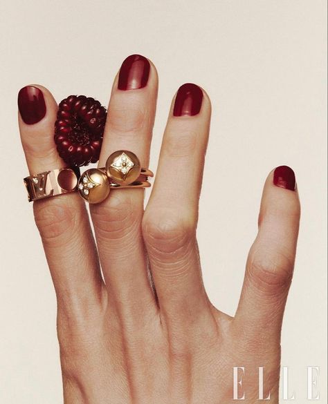 Ring Photoshoot, Jewellery Photography Inspiration, Jewelry Product Shots, Creative Jewelry Photography, Elle Korea, Jewelry Editorial, Fruit Jewelry, Jewelry Photoshoot, Jewelry Ads