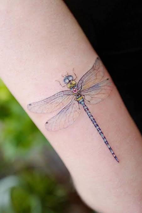 Dragonfly Tattoo Ideas, Firefly Tattoo, Dragonfly Tattoos, Alas Tattoo, Small Dragonfly Tattoo, Flying Tattoo, Dragonfly Tattoo Design, Tasteful Tattoos, Tatuaje A Color