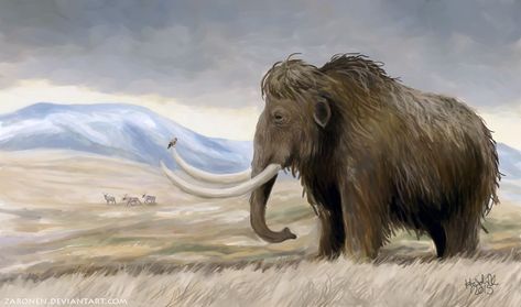 The Mammoth Steppe by Heidi Kosenius Mammoth Art, Woolly Mammoth, Animal Illustration Art, Prehistoric World, Wooly Mammoth, Paleo Art, Extinct Animals, Dinosaur Art, Prehistoric Creatures